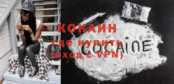 прущие грибы Магадан