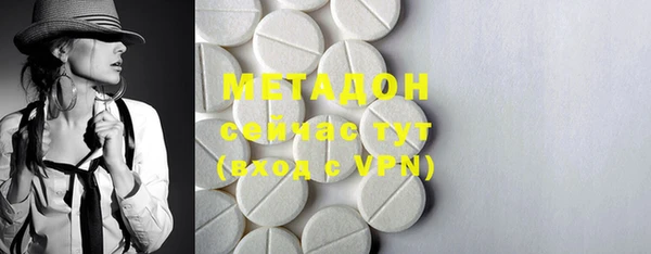 прущие грибы Магадан
