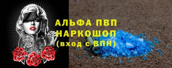 PSILOCYBIN Майский